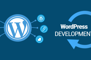 WordPress Maintanince