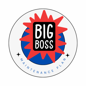 Big Boss WordPress Maintenance Plan