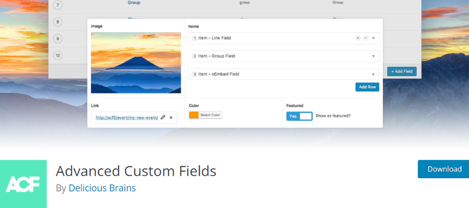 custom fields 3