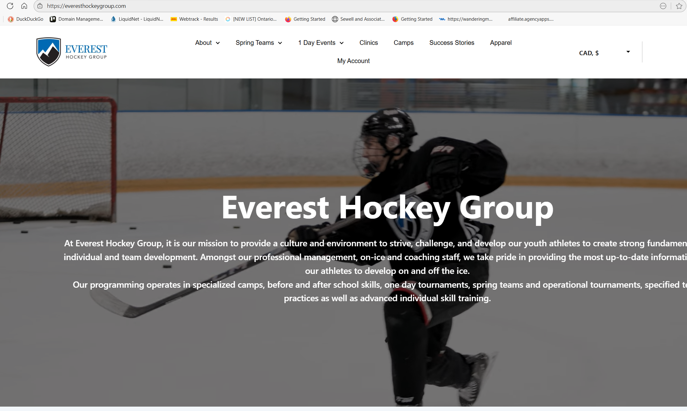 everest hockey group