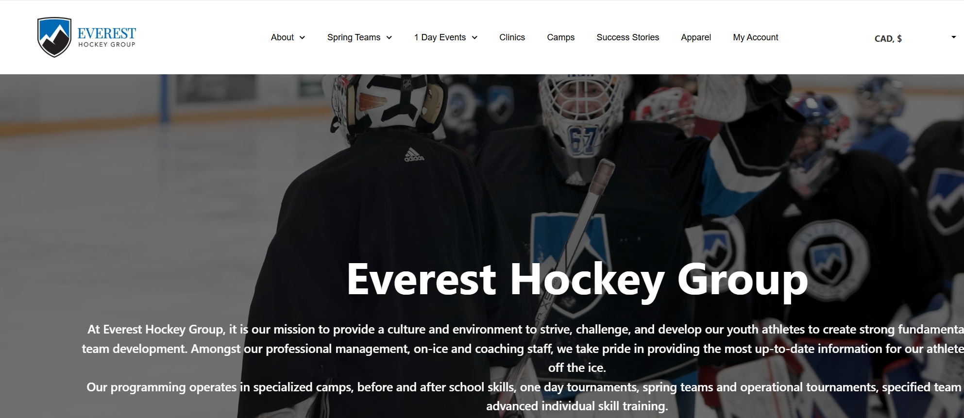 everest hockey group